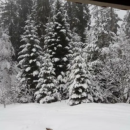Taffski Borovets