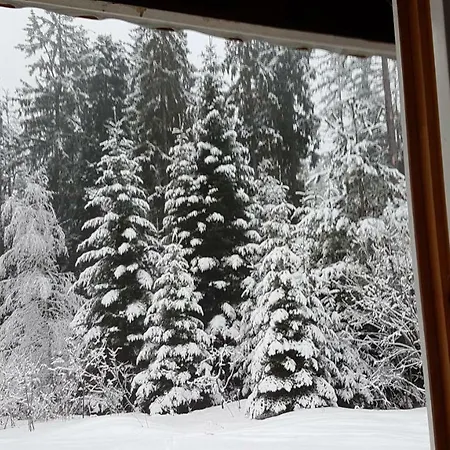Taffski Borovets